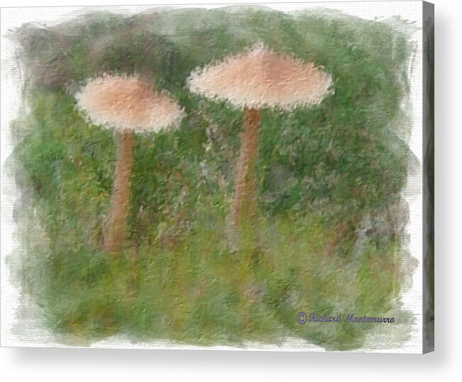 Nature Acrylic Print featuring the photograph Mushrooms by Richard Montemurro