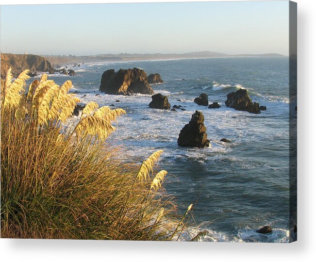 Northern California Coast Above Jenner Acrylic Print featuring the photograph Northern California Coast by Mark Norman