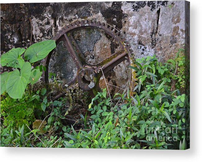 Jamaica Acrylic Print featuring the photograph Old Gear by Carol Bradley