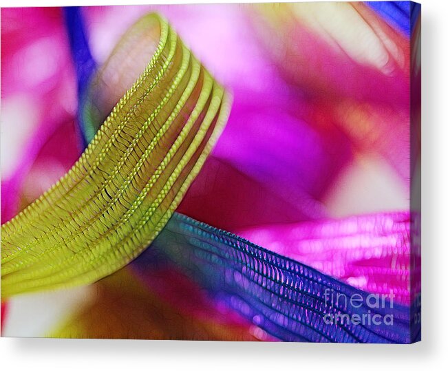 Green Acrylic Print featuring the photograph Party Ribbons by Judi Bagwell