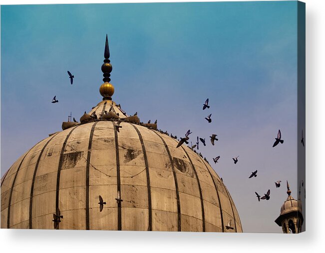 Jama Masjid Acrylic Print featuring the photograph Pigeons around dome of the Jama Masjid in Delhi in India by Ashish Agarwal