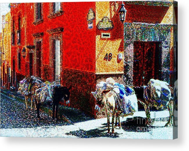 Donkeys Acrylic Print featuring the photograph Ready To Look For Gold In The Sierra Madre by John Kolenberg