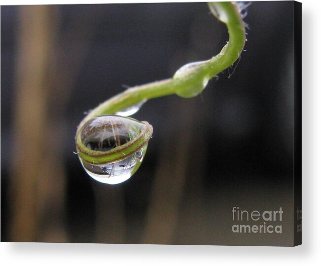Water Acrylic Print featuring the photograph Rescuer by Holy Hands