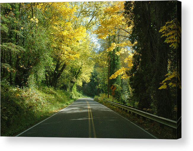 Landscape Acrylic Print featuring the photograph Road through Autumn by Kathleen Grace