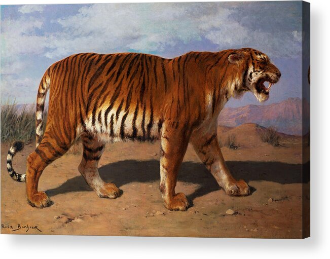 Stalking Acrylic Print featuring the painting Stalking Tiger by Rosa Bonheur