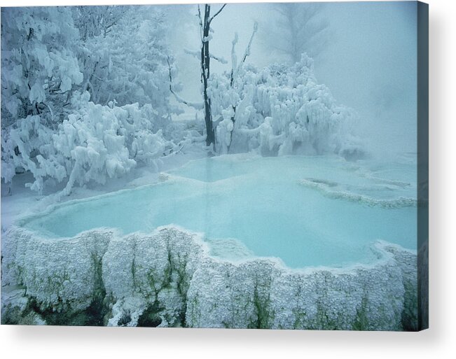 Mp Acrylic Print featuring the photograph Steaming Pool At Mammoth Hot Springs by Michael Quinton