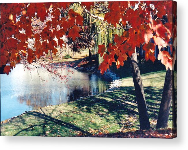 Autumn Acrylic Print featuring the photograph Stop and Gaze by Barbara Plattenburg