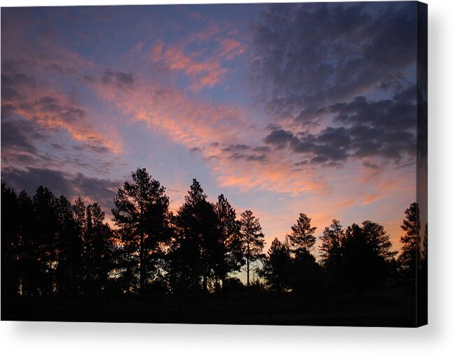 Sunrise Acrylic Print featuring the photograph Sunrise Beyond the Pines by Greni Graph