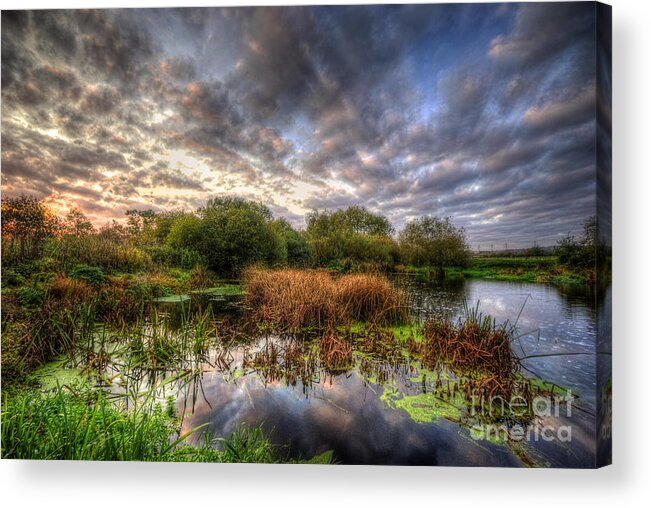 Hdr Acrylic Print featuring the photograph Swampy by Yhun Suarez