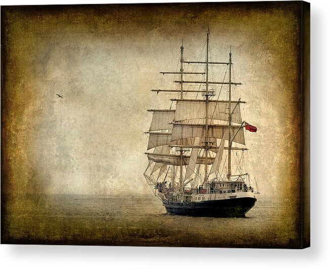 Textured Acrylic Print featuring the photograph Tenacious by Fred LeBlanc