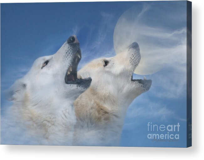 Wolves Howling At The Moon Acrylic Print featuring the photograph Wolves Howling at the Moon Surreal Fantasy by Stephanie Laird