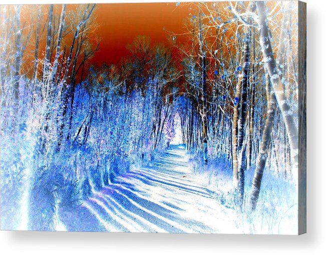 Nature Acrylic Print featuring the photograph The Path by Alex Blaha