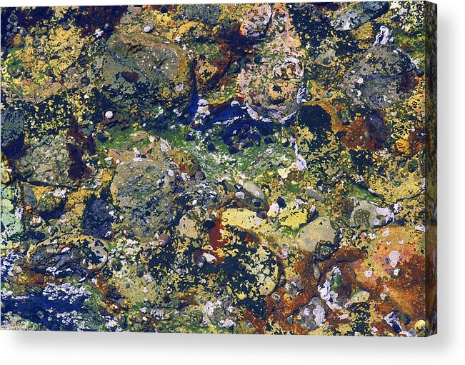 Tidepool Patterns Abstract Design Acrylic Print featuring the photograph Tidepool by John Farley