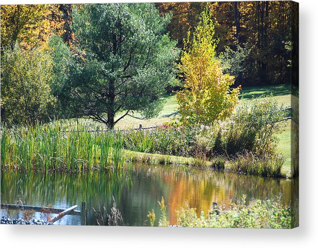 Landscape Acrylic Print featuring the photograph Tranquil by John Schneider