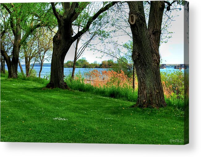  Acrylic Print featuring the photograph UNTITLED no Need by Michael Frank Jr