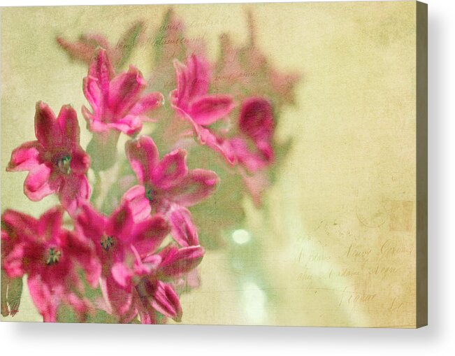 Hyacinth Acrylic Print featuring the digital art Vintage Hyacinth by Margaret Hormann Bfa