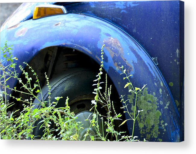 Volkswagen Acrylic Print featuring the photograph Volkswagen Graveyard - 1 by Carolyn Marshall