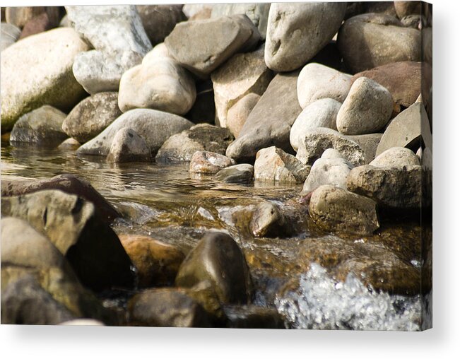 Stone Acrylic Print featuring the photograph Watering Hole by Trish Tritz