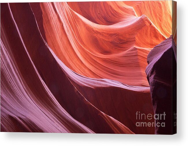 Arizona Acrylic Print featuring the photograph Waves of Color by Bob and Nancy Kendrick