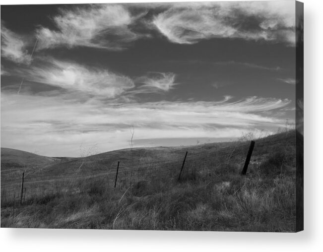 Hills Acrylic Print featuring the photograph Whipping up the Hillside by Kathleen Grace