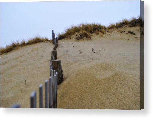 Marsh Acrylic Print featuring the photograph Winter Dune by Marysue Ryan