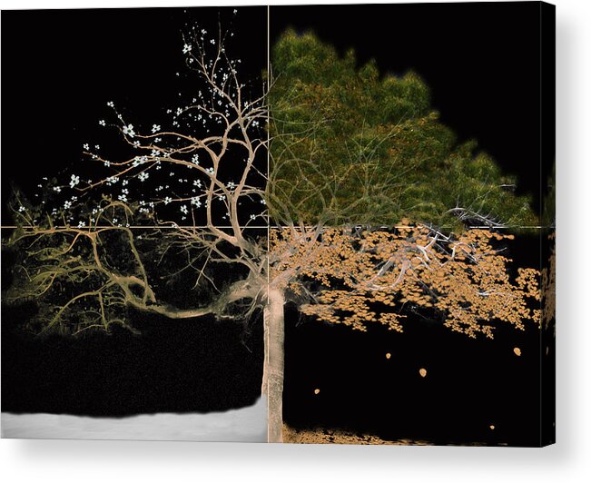 Tree Acrylic Print featuring the painting Winter Spring Summer and Fall by Gray Artus