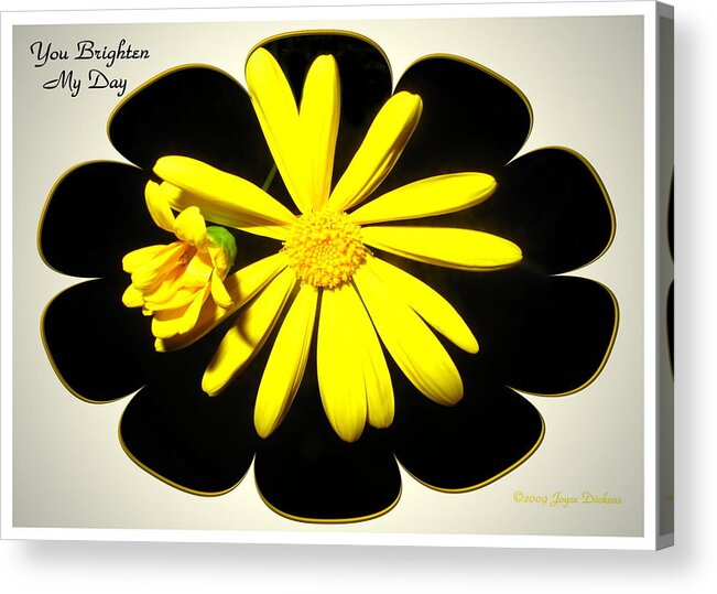 Daisy Acrylic Print featuring the photograph Yellow Daisy - You Brighten My Day by Joyce Dickens