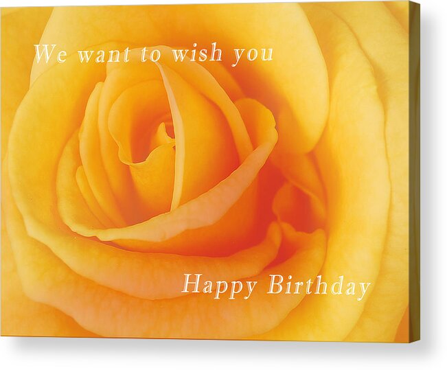 Happy Acrylic Print featuring the photograph Yellow rose birthday card by Michael Peychich