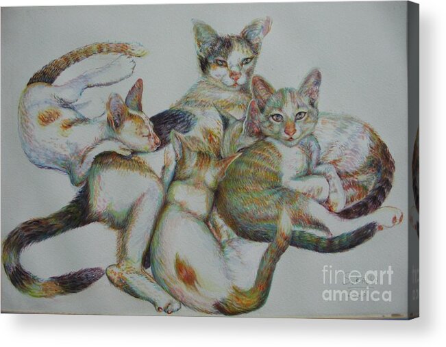 Cats Acrylic Print featuring the painting The Family by Sukalya Chearanantana