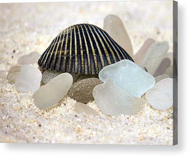 Black Acrylic Print featuring the photograph Black and White Sea Glass by Janice Drew