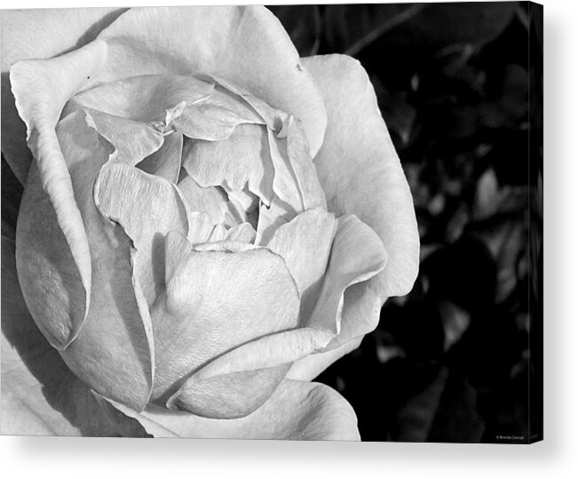 Detail Acrylic Print featuring the photograph Detail #1 by Dark Whimsy