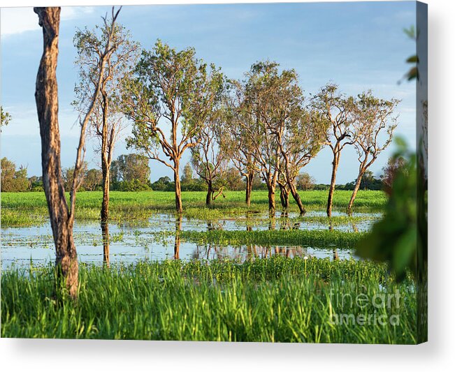Australia Acrylic Print featuring the photograph Flooded wetlands during the wet season #1 by Andrew Michael