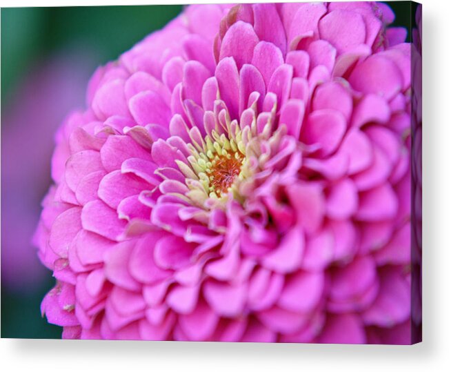 Flower Acrylic Print featuring the photograph Flower Macro #1 by Edward Myers