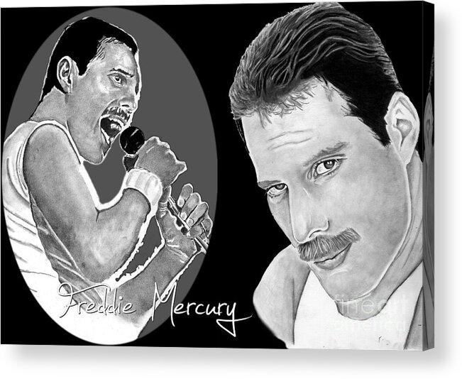 Freddie Acrylic Print featuring the drawing Freddie Mercury #1 by Bill Richards