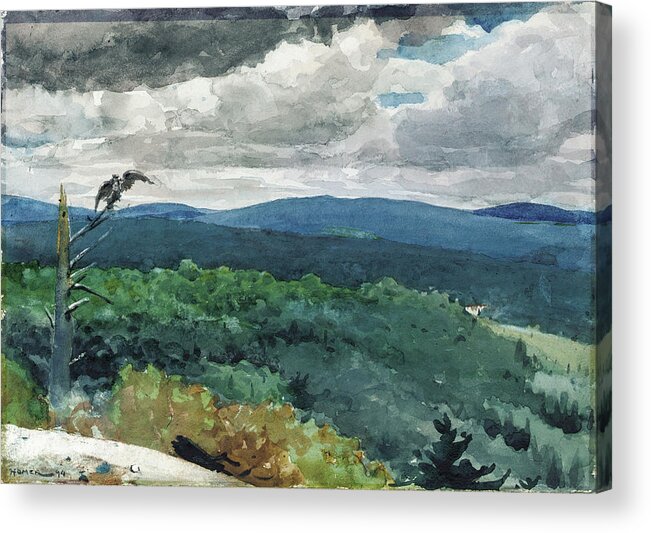 Winslow Homer Acrylic Print featuring the drawing Hilly Landscape by Winslow Homer