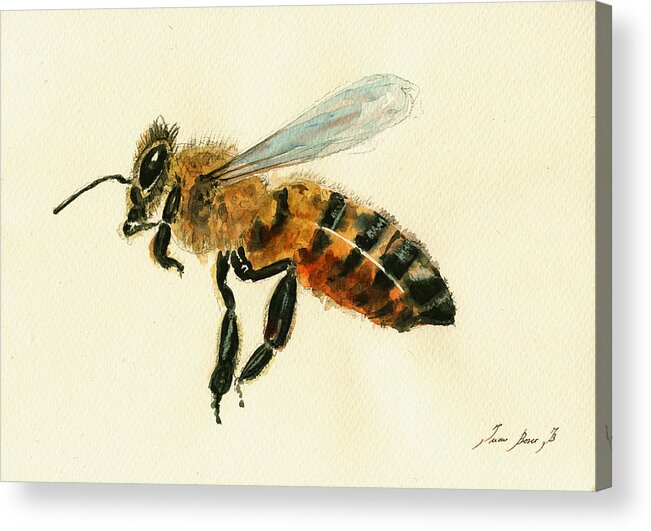 Honey Bee Art Acrylic Print featuring the painting Honey bee watercolor painting #1 by Juan Bosco