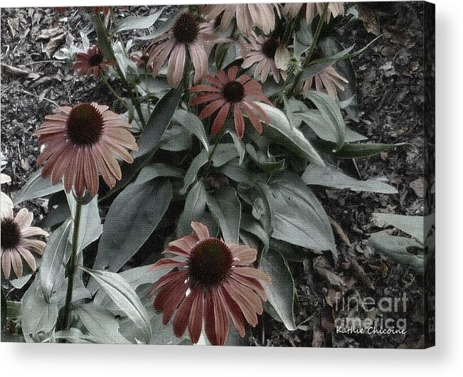 Photography Acrylic Print featuring the photograph In the Shadows by Kathie Chicoine