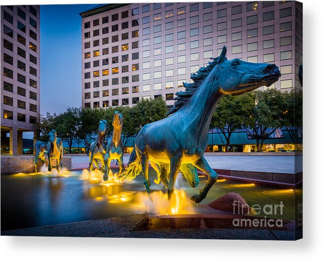 America Acrylic Print featuring the photograph Mustangs at Las Colinas #1 by Inge Johnsson