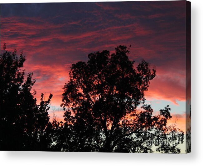 Sunset Acrylic Print featuring the photograph Sunset #1 by Sheri Simmons