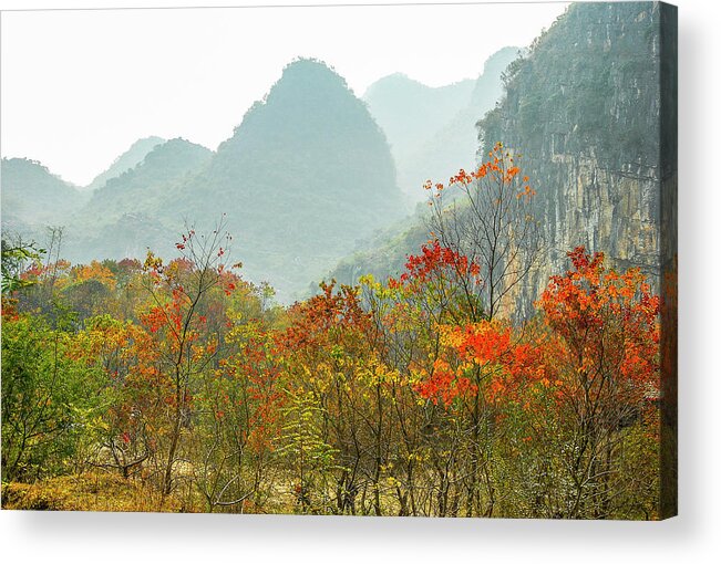Red Acrylic Print featuring the photograph The colorful autumn scenery #10 by Carl Ning