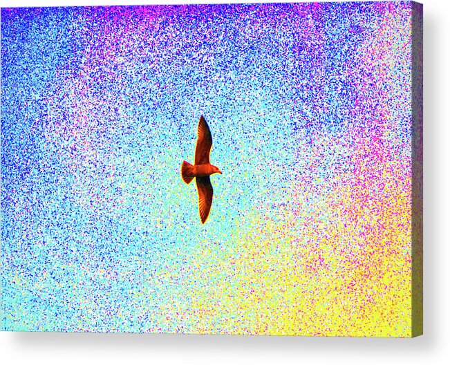 Seagull Acrylic Print featuring the digital art 12- Gulliver's Travels by Joseph Keane
