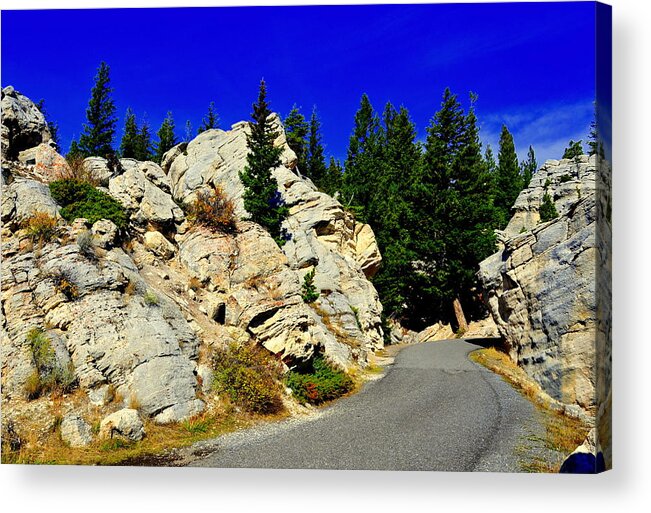 Lakeview Acrylic Print featuring the photograph Yellowstone Park #17 by Aron Chervin