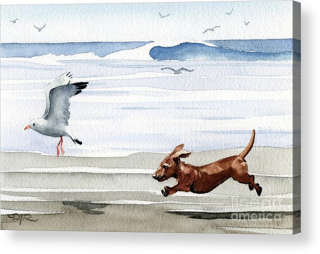 Dachshund Running Playing Seagull Beach Ocean Waves Shore Pet Dog Breed Canine Art Print Artwork Painting Watercolor Gift Gifts Picture Acrylic Print featuring the painting Dachshund at the Beach #7 by David Rogers