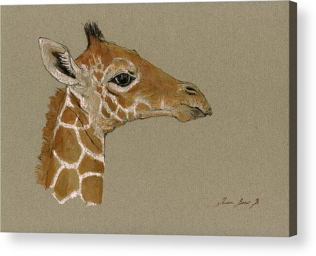 Giraffe Art Wall Acrylic Print featuring the painting Giraffe head study #2 by Juan Bosco