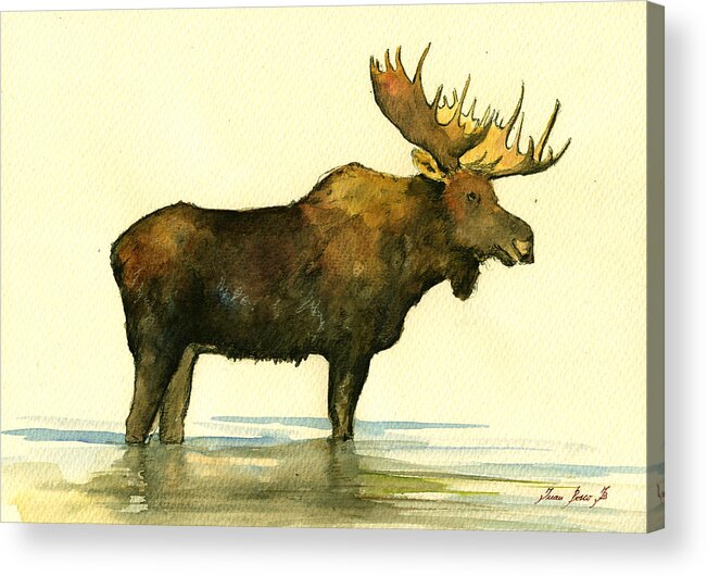 Moose Acrylic Print featuring the painting Moose watercolor painting. #2 by Juan Bosco