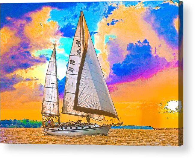 Sunset Acrylic Print featuring the photograph Shannon 38 by Richard Goldman