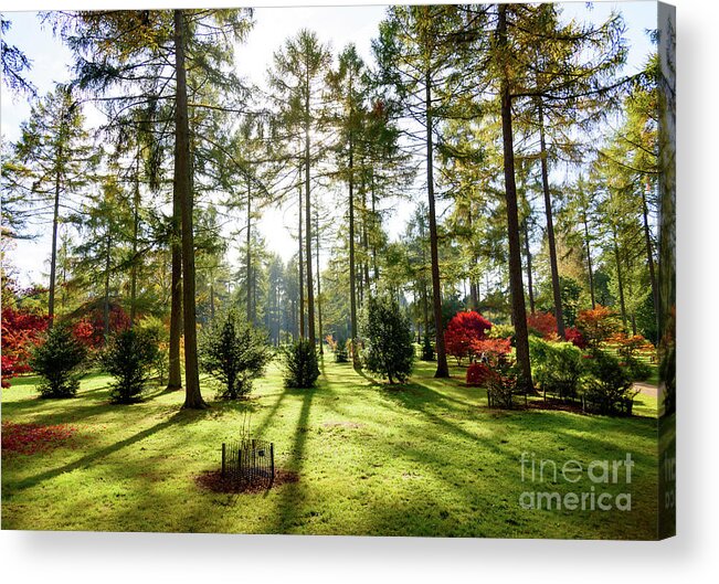 Autumn Acrylic Print featuring the photograph Autumn in the park #3 by Colin Rayner