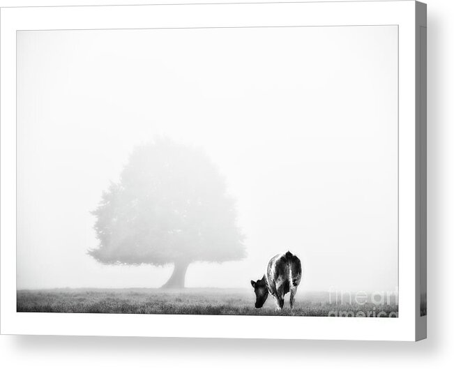 Black And White Acrylic Print featuring the photograph Black And White Nature Landscape Photography Art Work #3 by Marco Hietberg - City and Landscape Photography - Art Shop