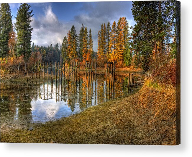 Scenic Acrylic Print featuring the photograph Cocolala Creek Slough #3 by Lee Santa