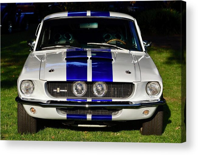  Acrylic Print featuring the photograph Shelby #3 by Dean Ferreira